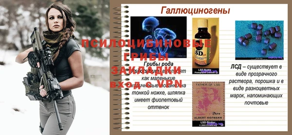 герыч Заводоуковск