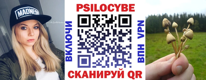 Псилоцибиновые грибы MAGIC MUSHROOMS  Купить закладки  Рошаль 